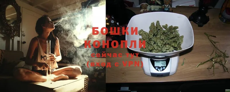 Бошки марихуана OG Kush  Балахна 